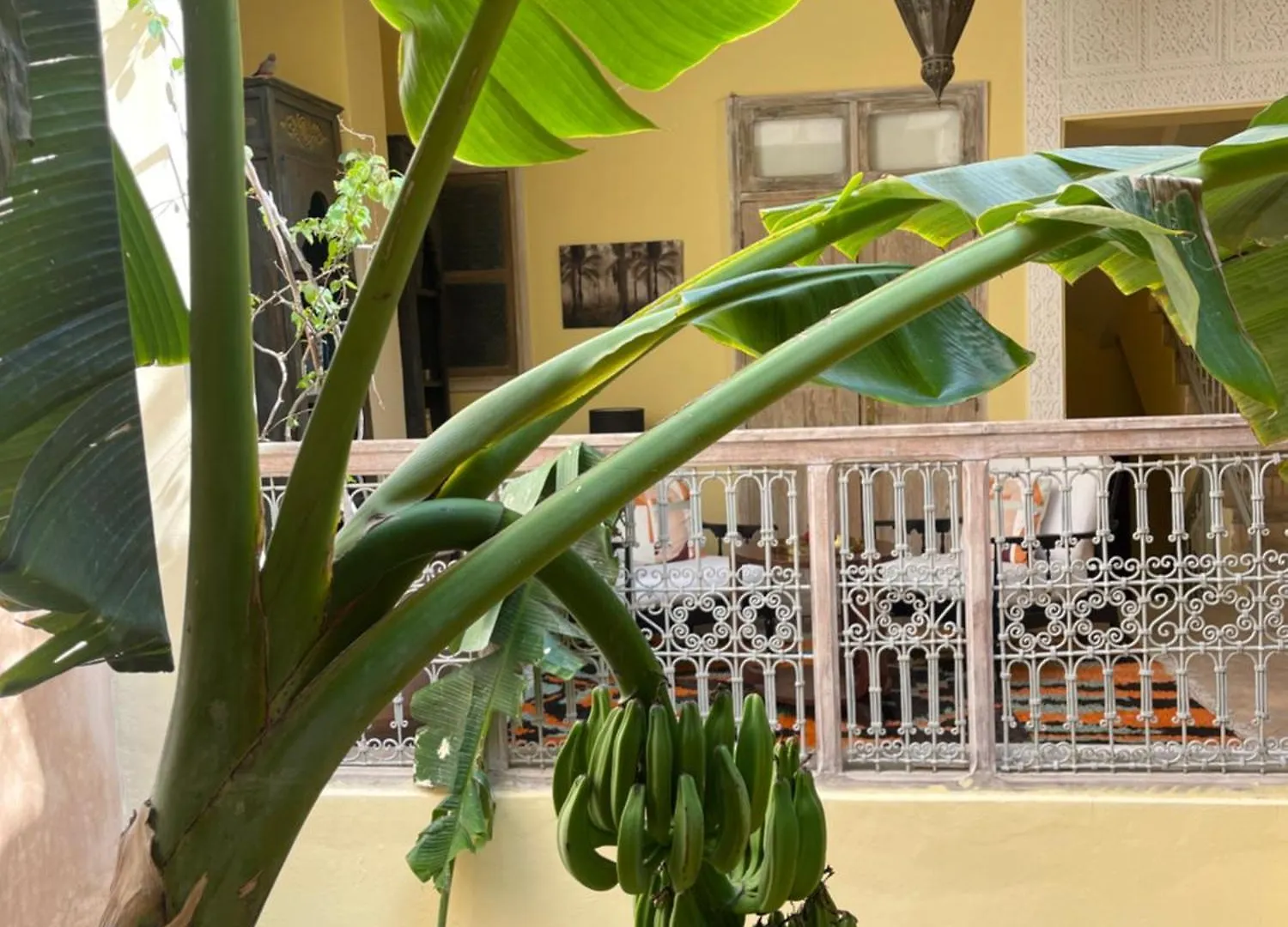 Riad Dar Naomi Marrakesh